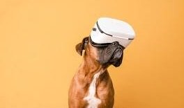 Top Pet Gadgets for 2024