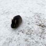 rabbits cool