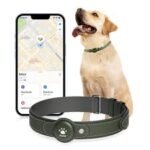 Is a GPS Tracking Device a Good Idea for My Pet