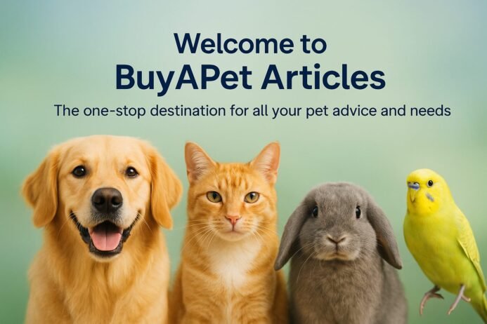 BuyAPet articles
