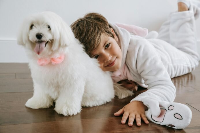 Adopting A Pet