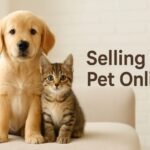 Buying A Pet Online