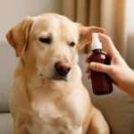 Dog Yeast Infection Home Remedy