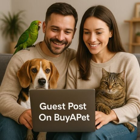 Guest Post on BuyAPet