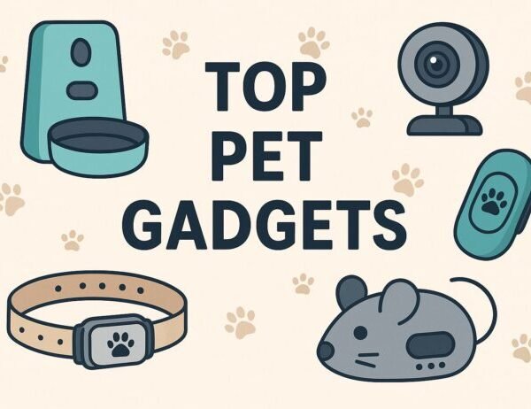Top Pet Gadgets for 2024