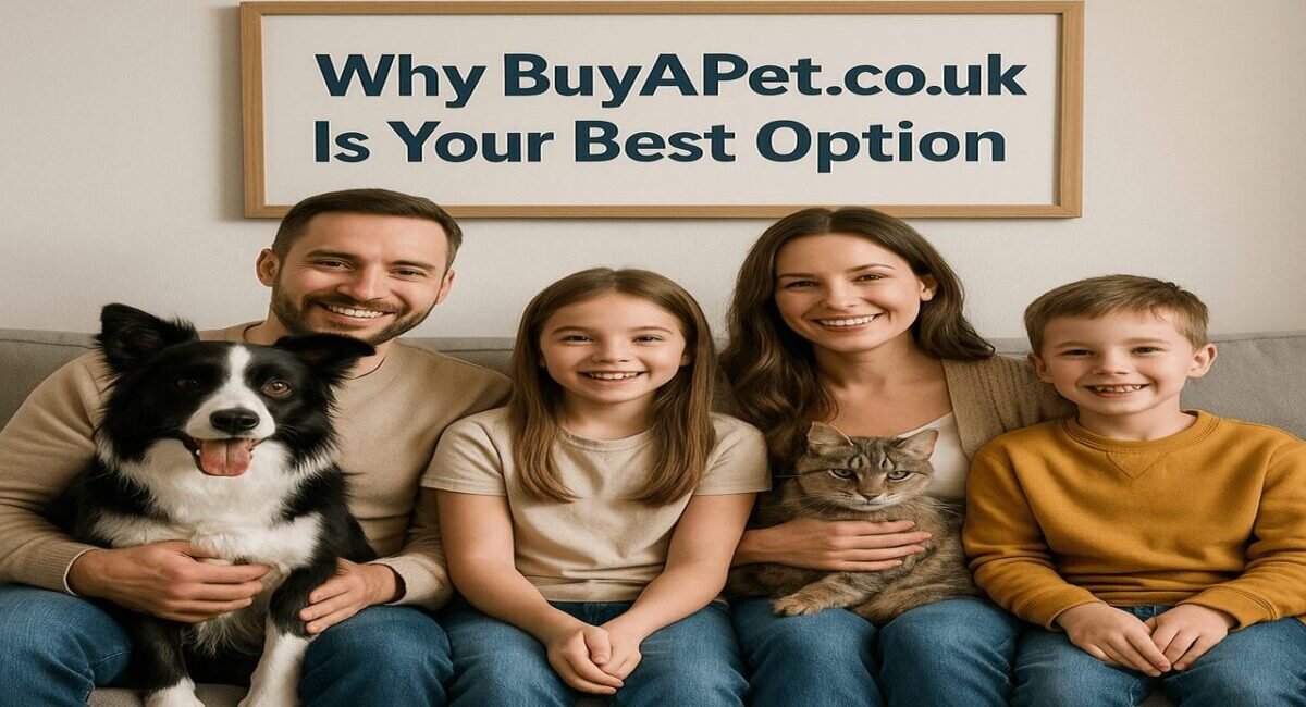 Why BuyAPet.co.uk Stands Out (1)