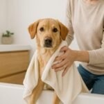 Why Does My Dog Stink