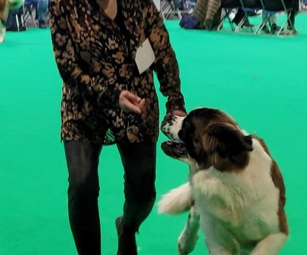 Blixen Crufts 24 2crop