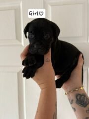 IMG 20250701 WA0014
