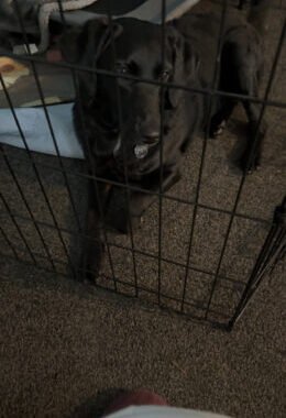 IMG 0481 2