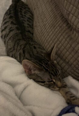 IMG 1555