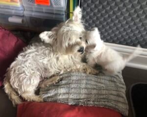 IMG 1702