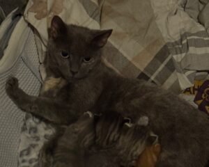 IMG 2501
