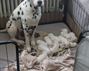 PXL 20251023 152354264