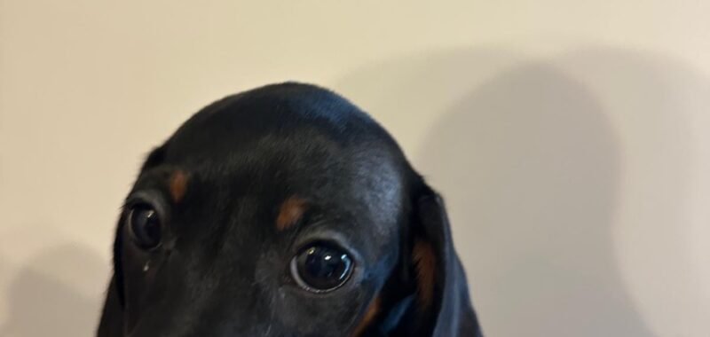 05f9e63b 5d42 4aa9 96e0 04a73f45ab3c