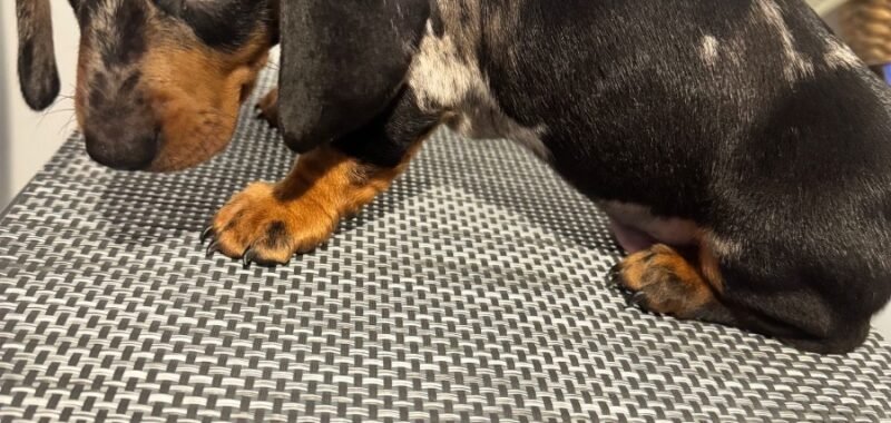 0ff4aaa1 e84f 4709 bd9a ded25508bf11