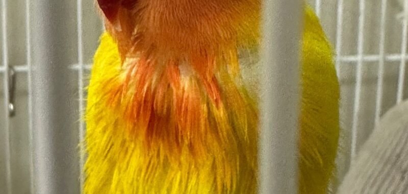 10576a5a ba5f 41eb b7b3 c0209a9a4266