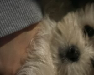 157B9F99 081F 4987 8092 264F08CC566E