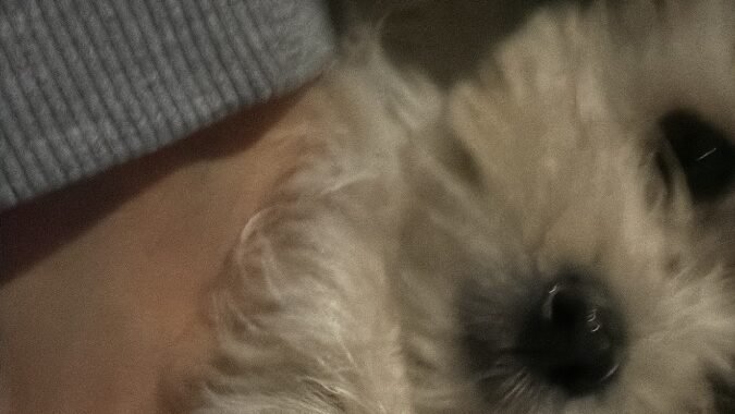 157B9F99 081F 4987 8092 264F08CC566E