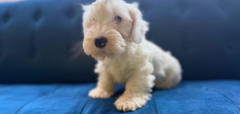 173a38fa 9bb1 46cf b03b 8ac681b2f5bd