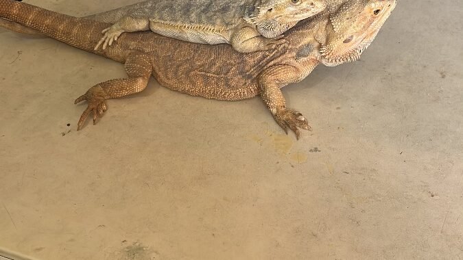 17A7441E FD51 4003 9DFF 626A9EBD6E47