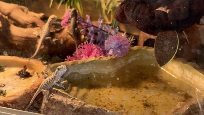 1E1F3E17 74A5 449A 8DEE 9D0D9935B711