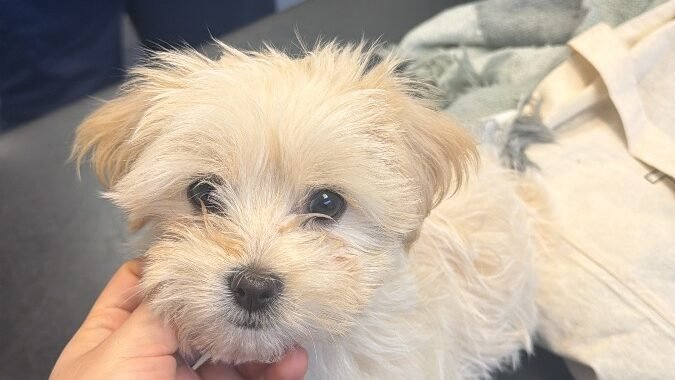 2125658F C57C 42DD BDB7 F920EB76712D