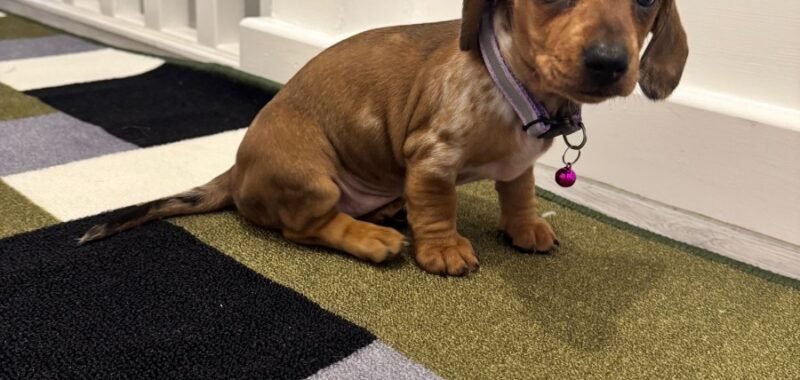 25645fb7 79d8 466a a278 339254b9b768