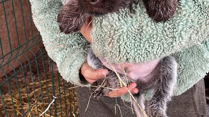 25DB0FA4 D09E 4E37 934E C863C297C759