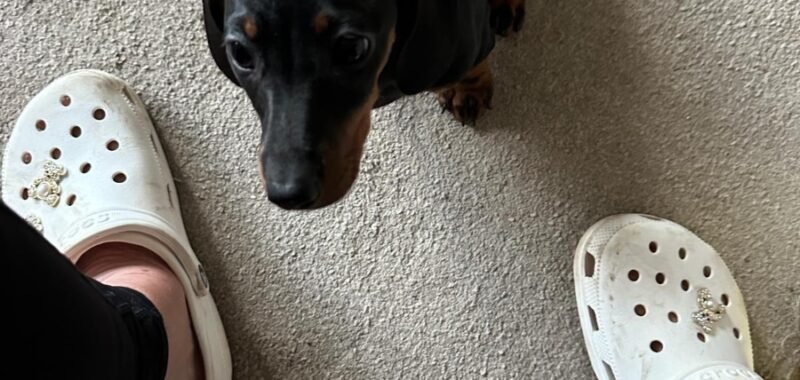 2d01d812 32b3 44ea ab62 9259a9b3a28c