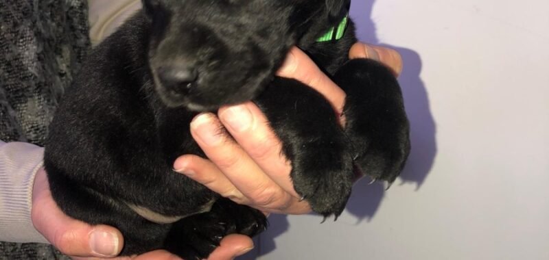 35f2e851 58e1 45dc 9c20 4ebe8d82117f