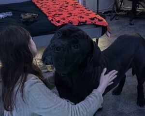 3734FF03 0DE9 4AE3 88AD A08B8CC57A1D