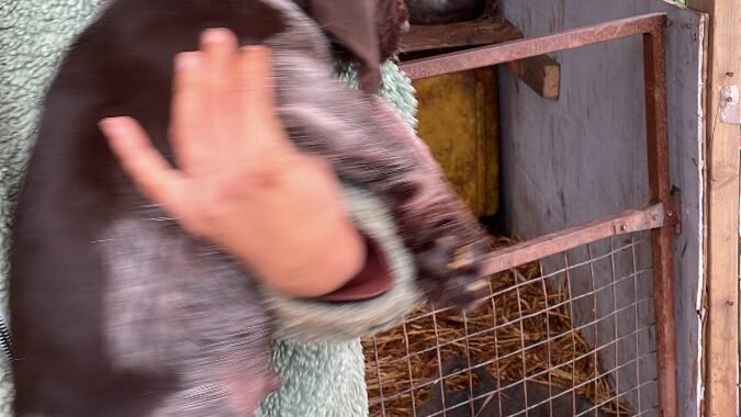 450D39AA 2F7D 4E11 A329 2431784F1A06