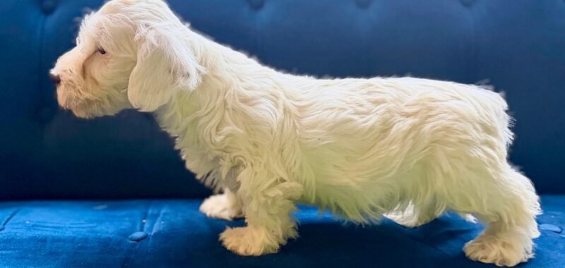 523285c0 4142 45a3 888e f949001c9b07