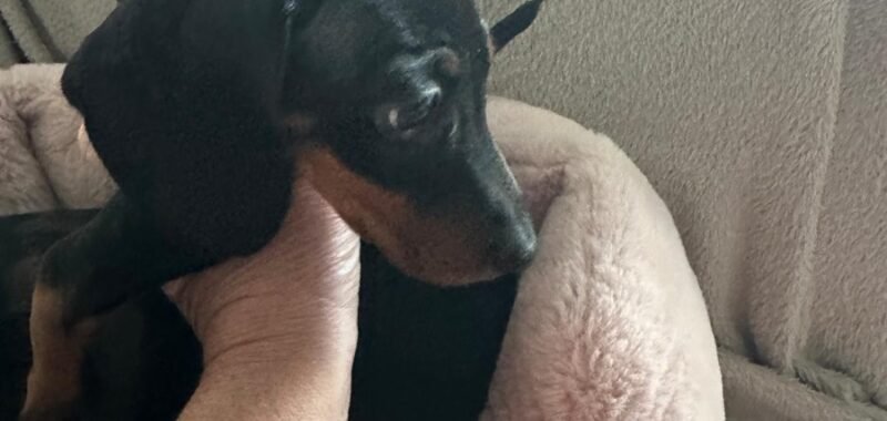 529343e9 8ea0 4b7d 9bf0 340dc26c8361