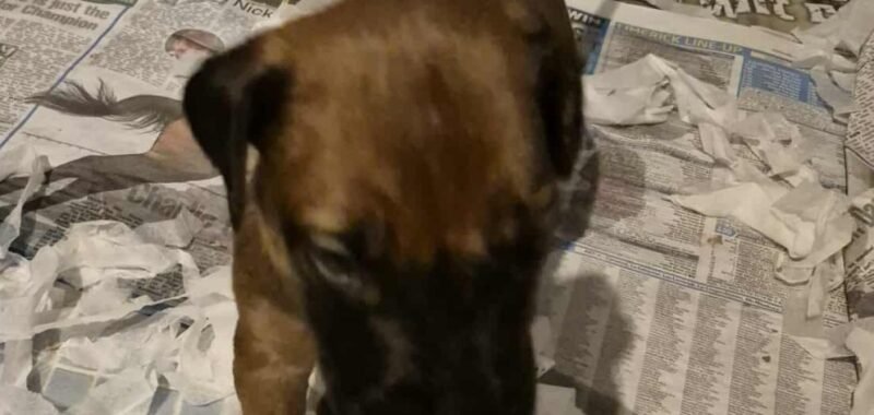 568228404 2051239259011741 4905939345947923041 n