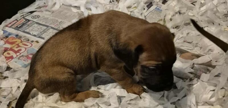 569163764 2255741201518872 7102506770887177313 n