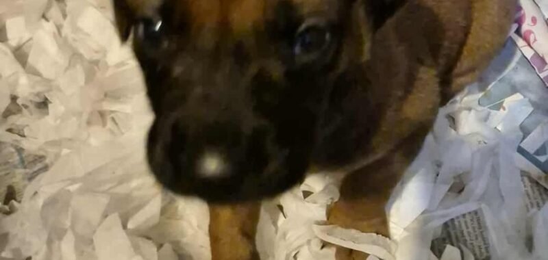 569176061 1379913287075995 557120811322909833 n