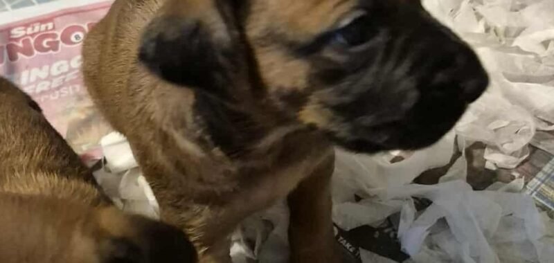 569767923 24899991823028178 5876227311829312631 n