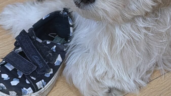 579C3EB2 843C 4928 AA87 83BC6F614D33