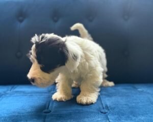 59d5f304 211b 4210 b6bb 01b39deeff0f