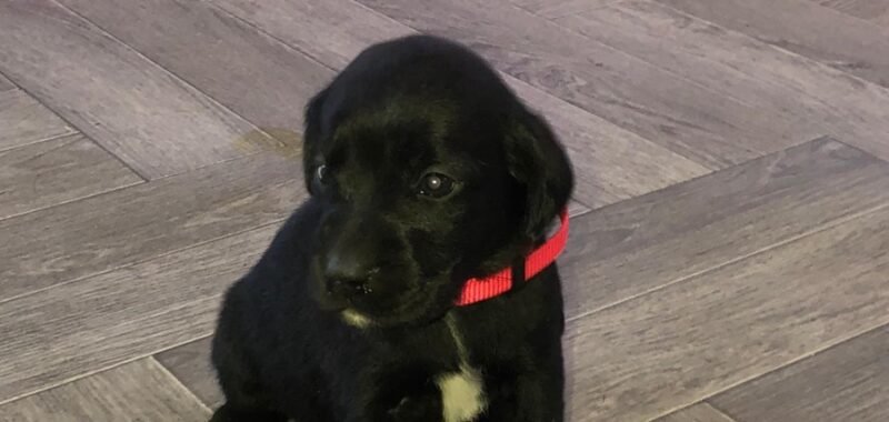 60200736 3e48 4ee9 babc 53baaac2ab12