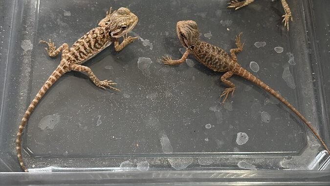 638ECC61 6CEE 4274 B3EA 76C124235998