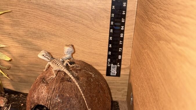 686BD9FB 5941 456A B6A7 CED00682FFFD