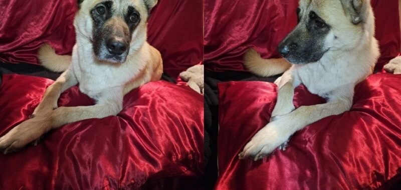 6b2353b0 f91a 4eef bd34 ddcaef36ec89