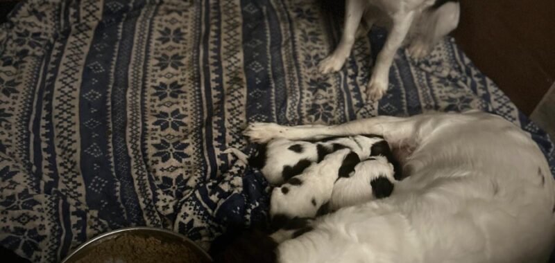 78ad6cc7 fa7e 48f6 a527 4d7378e5d3b1