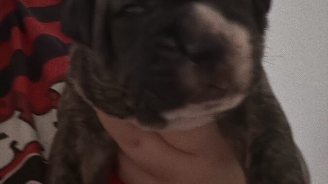 7BADC938 0451 4E36 A84C 4AAFE629D097