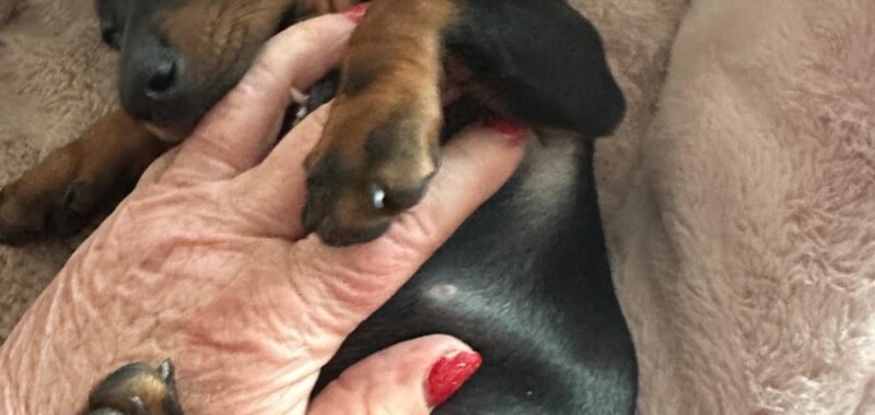 7a532ec0 67a7 421d a6fc 9b3b6247895c