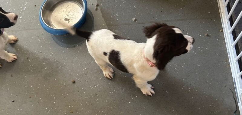 7bc2467b b244 48c1 a78d 111421702491