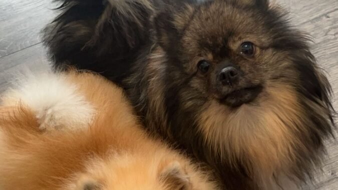 7f1bc2c5 77fa 48de 98bd 6c04a759e985